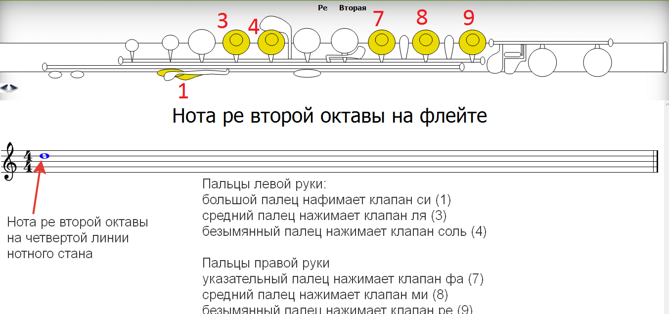 Аппликатура поперечной флейты