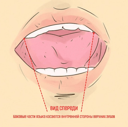 полость рта и язык флейтиста